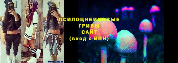 альфа пвп Вяземский