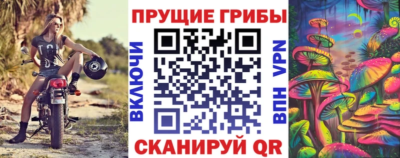 Псилоцибиновые грибы Cubensis  площадка Telegram  Дмитровск 